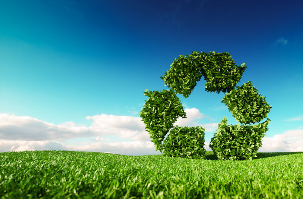Sustainability Remains Top Issue in Some States