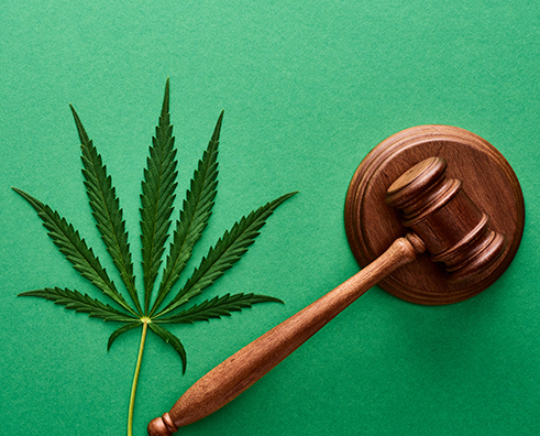Marijuana Laws Open Packaging Opportunities