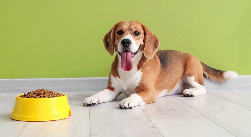 Packaging for Pet Foods